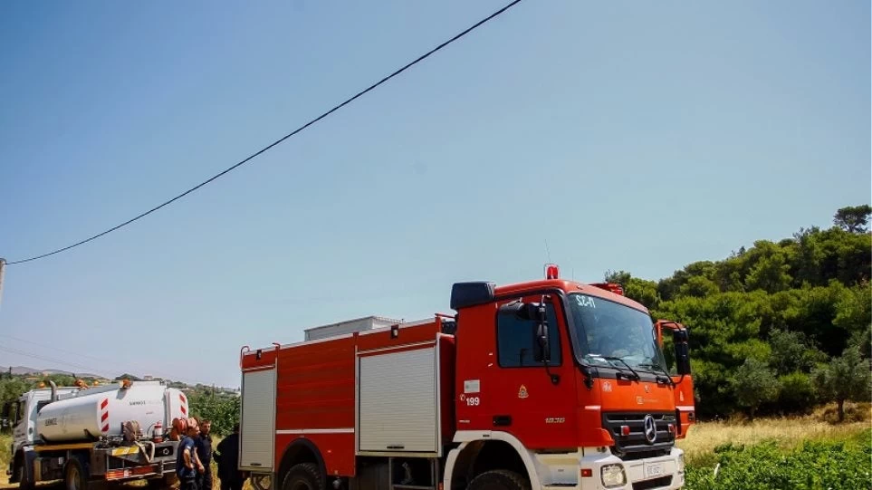 Πυρκαγιά σε δασική έκταση στη Φυλή